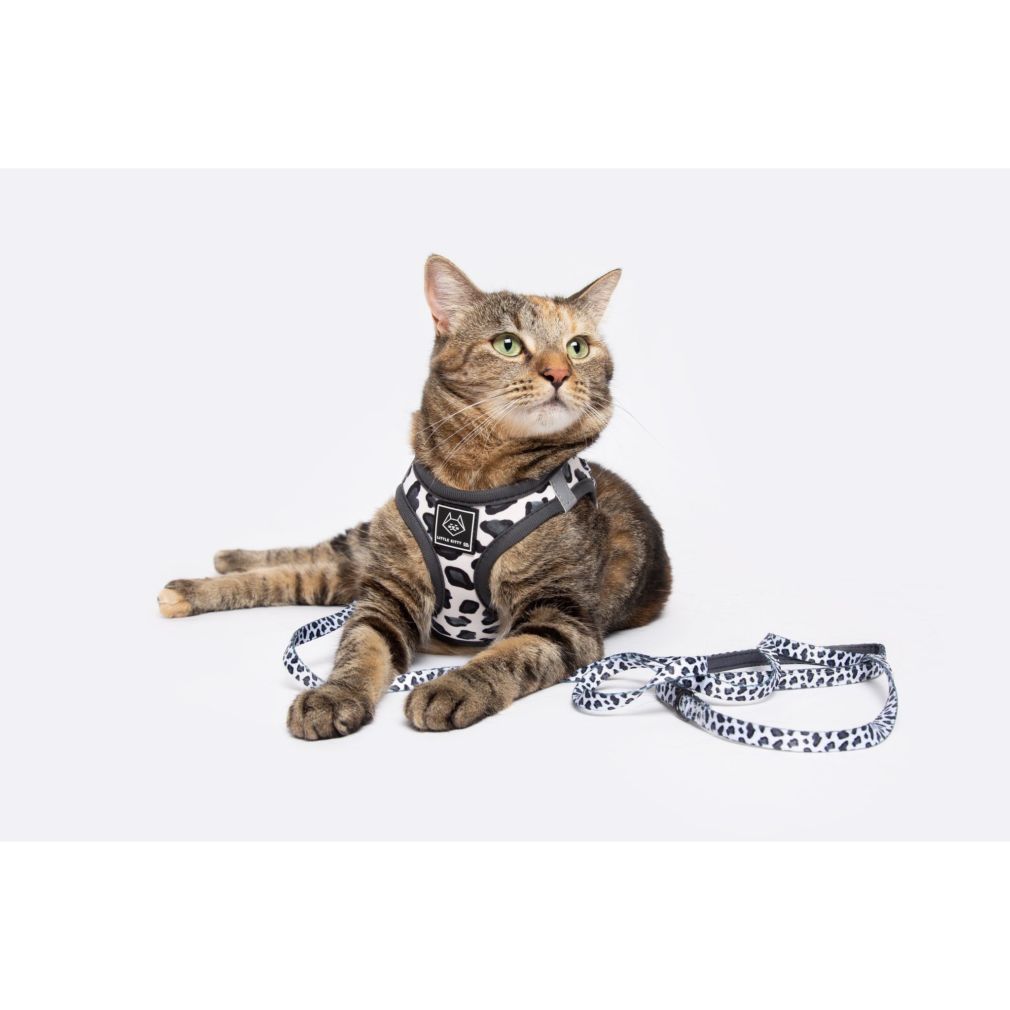 Cat Step In Harness Wild Cat Leopard Print