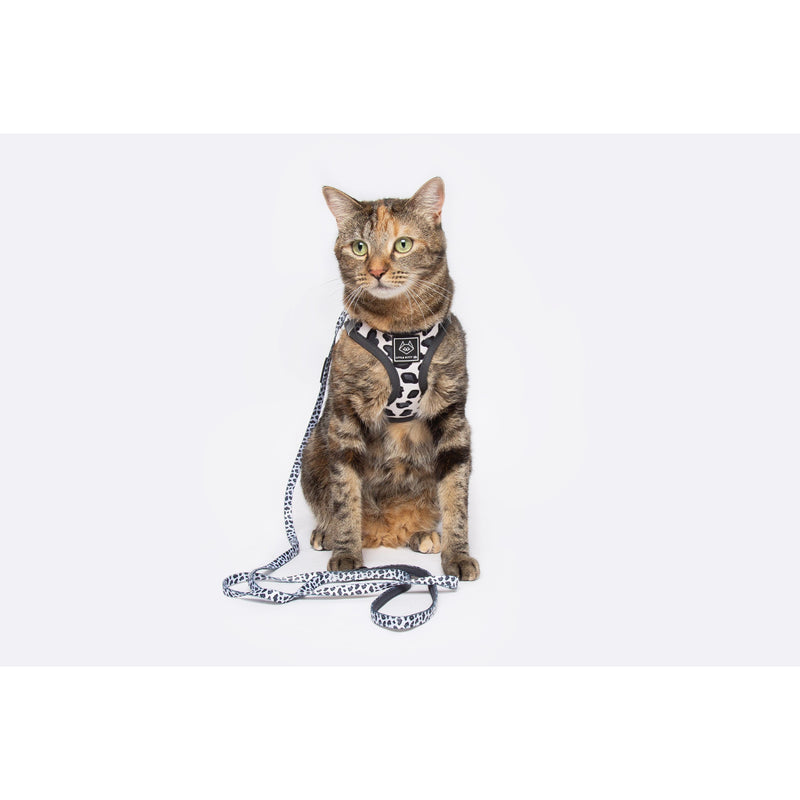 Cat Step In Harness Wild Cat Leopard Print