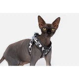 Cat Step In Harness Wild Cat Leopard Print