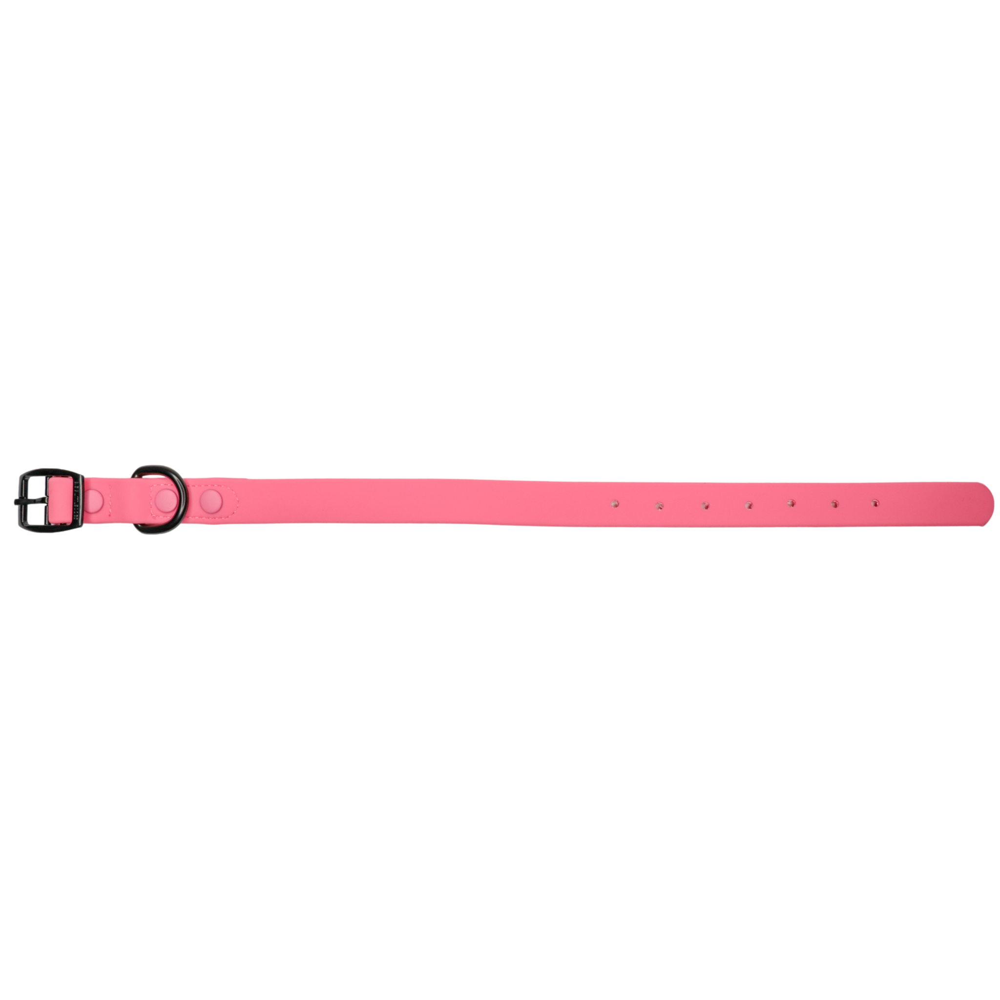 Waterproof Dog Collar Bubblegum Pink