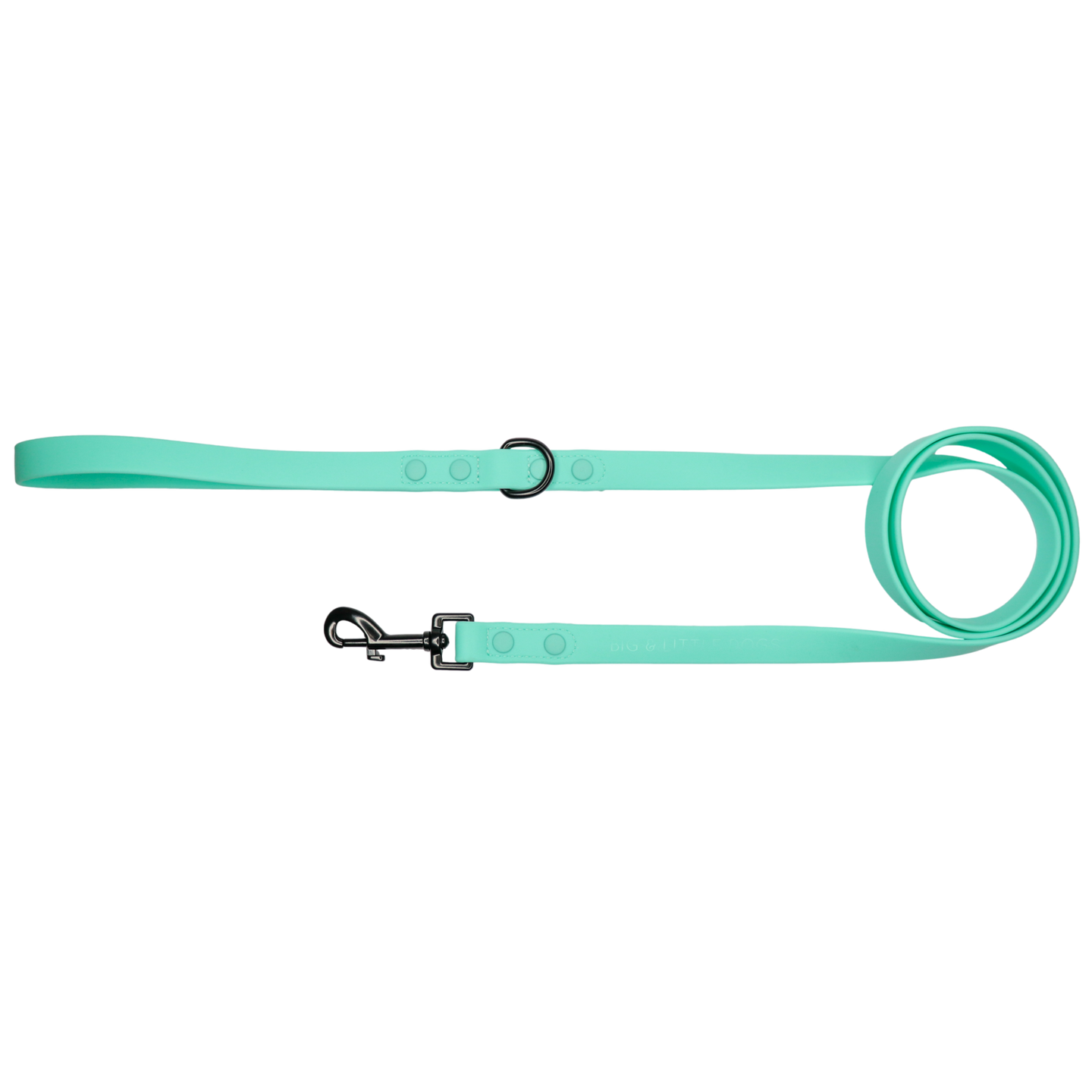 DOG WATERPROOF LEASH: Teal {FINAL SALE}