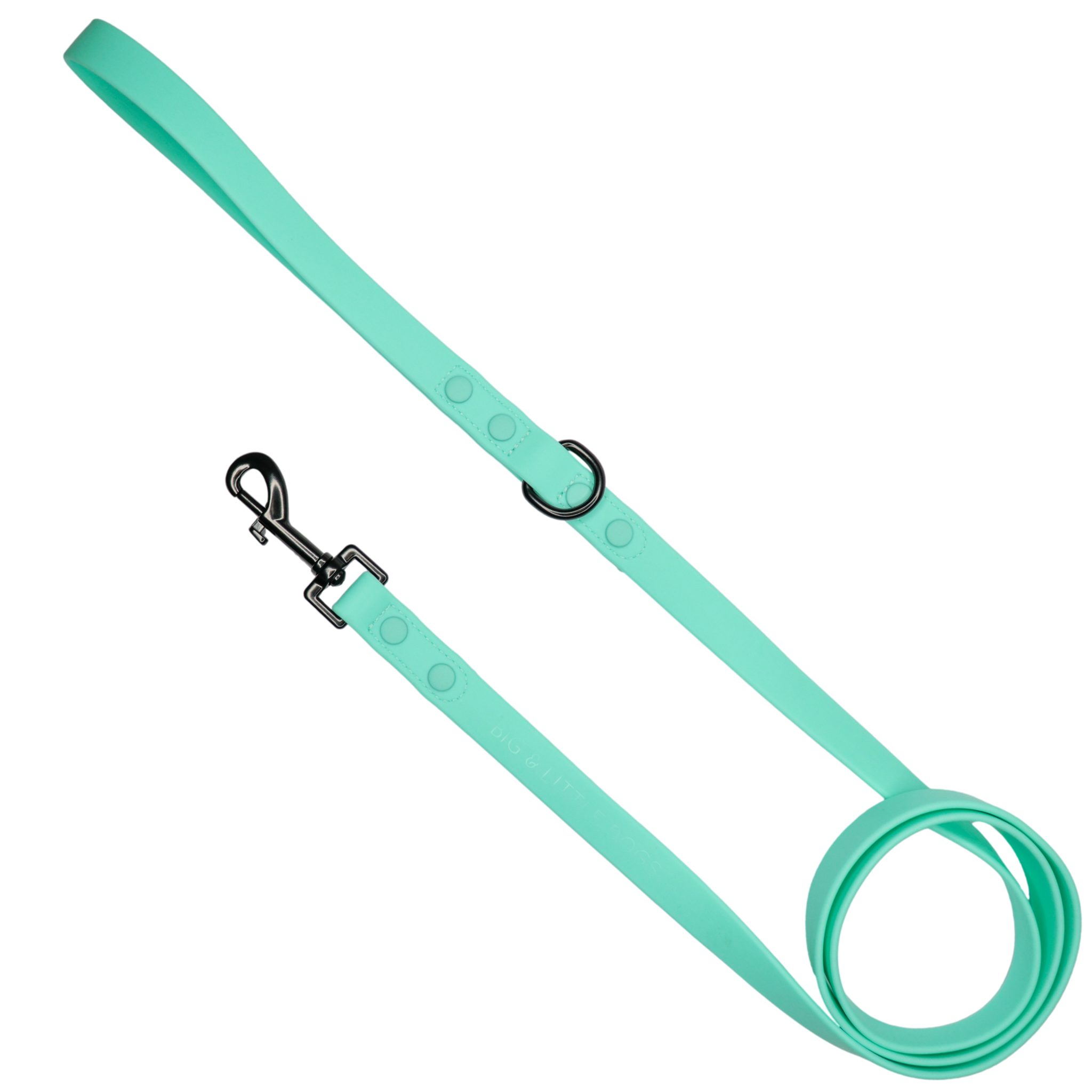 DOG WATERPROOF LEASH: Teal {FINAL SALE}