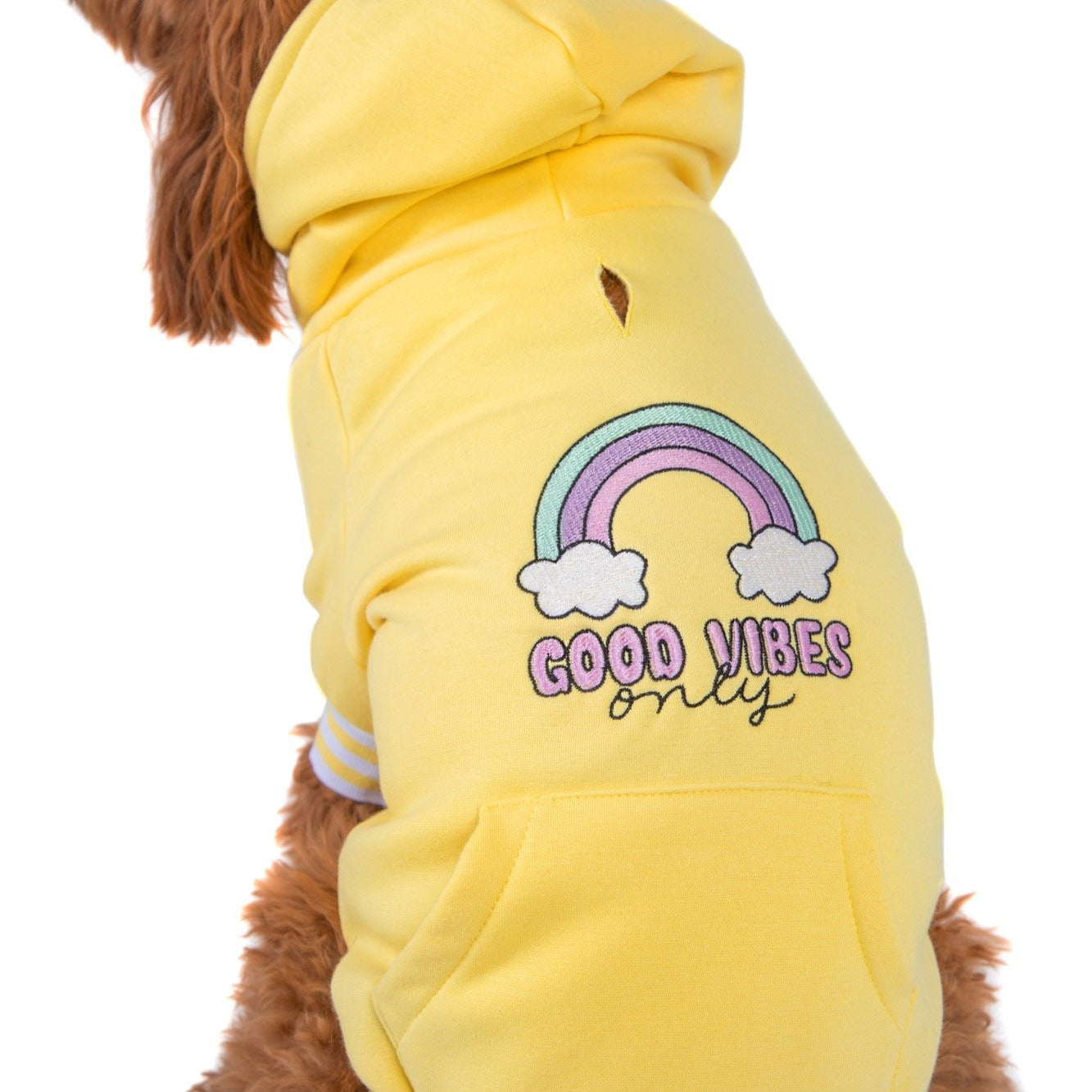 HOODIE DOG JUMPER: Lemon {FINAL SALE}