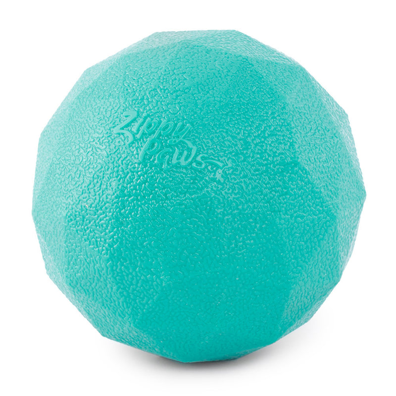 ZIPPY PAWS: ZippyTuff - Waggle Ball