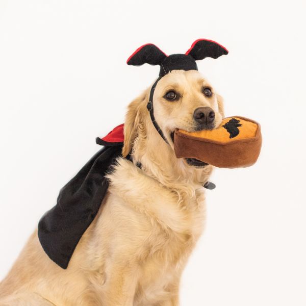 ZIPPY PAWS: Halloween Costume Kit - Dracula