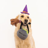 ZIPPY PAWS: Halloween Costume Kit - Witch