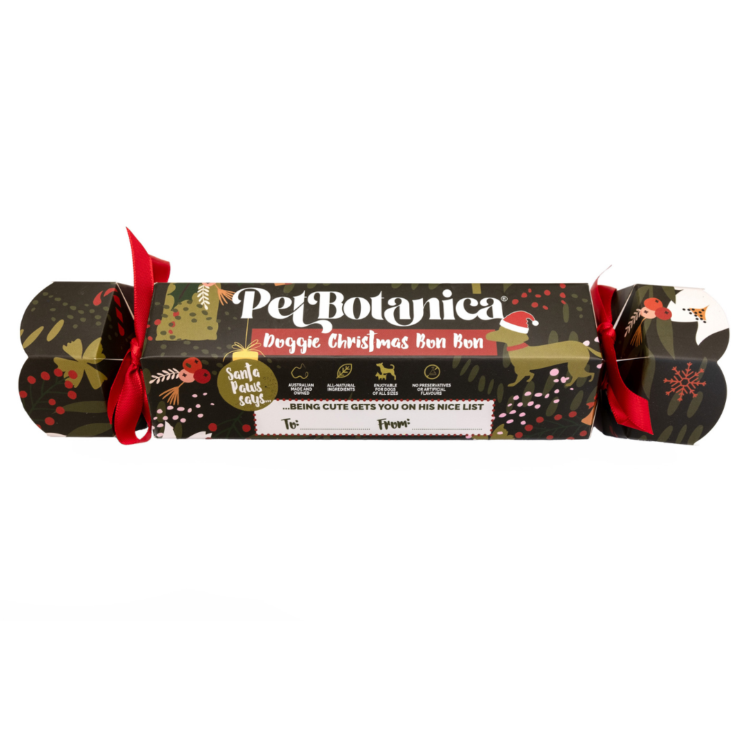 DOG TREATS | Pet Botanica: Doggie Christmas Bon Bon/Cracker